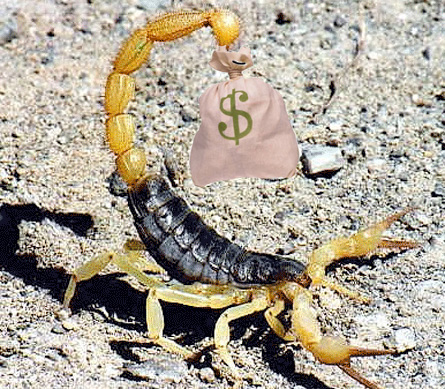 scorpion-cash