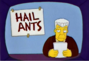 Hail ants